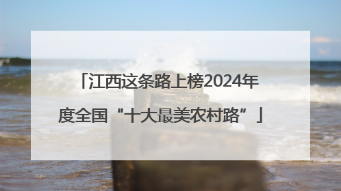 江西这条路上榜2024年度全国“十大最美农村路”