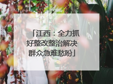 江西：全力抓好整改整治解决群众急难愁盼