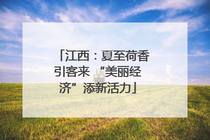 江西：夏至荷香引客来 “美丽经济”添新活力