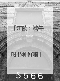 江陵：端午时节种好粮