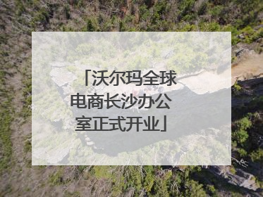 沃尔玛全球电商长沙办公室正式开业