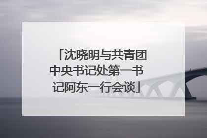 沈晓明与共青团中央书记处第一书记阿东一行会谈