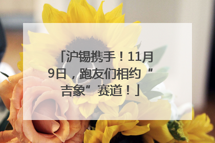 沪锡携手！11月9日，跑友们相约“吉象”赛道！