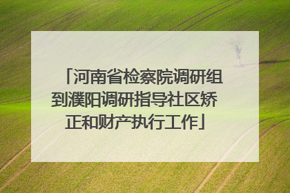 河南省检察院调研组到濮阳调研指导社区矫正和财产执行工作