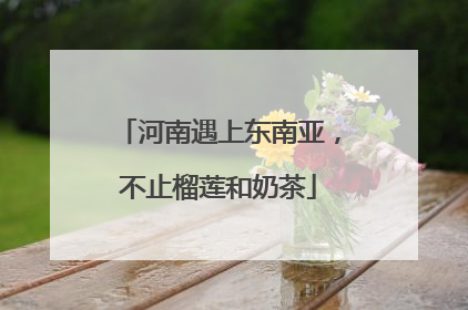 河南遇上东南亚，不止榴莲和奶茶