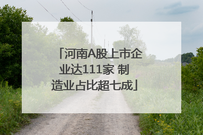 河南A股上市企业达111家 制造业占比超七成