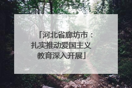 河北省廊坊市：扎实推动爱国主义教育深入开展