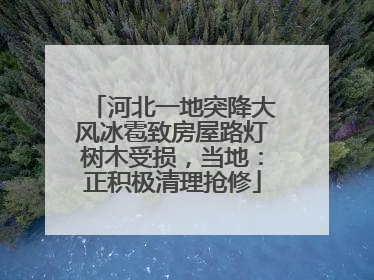 河北一地突降大风冰雹致房屋路灯树木受损，当地：正积极清理抢修
