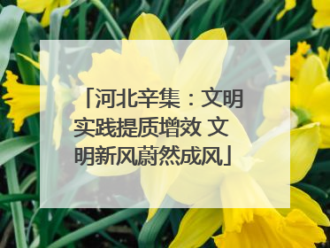 河北辛集：文明实践提质增效 文明新风蔚然成风