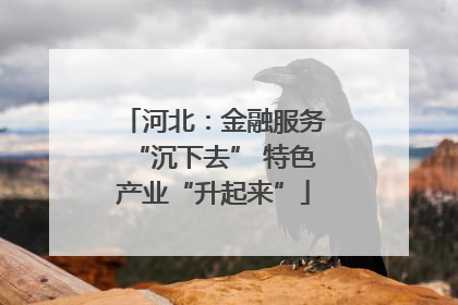河北：金融服务“沉下去” 特色产业“升起来”