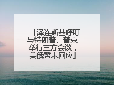 泽连斯基呼吁与特朗普、普京举行三方会谈，美俄暂未回应