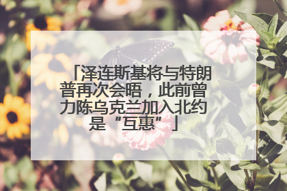 泽连斯基将与特朗普再次会晤，此前曾力陈乌克兰加入北约是“互惠”