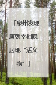 泉州发现唐朝宰相隐居地“活文物”