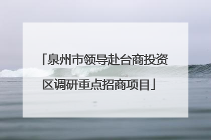 泉州市领导赴台商投资区调研重点招商项目