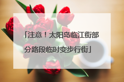 注意！太阳岛临江街部分路段临时变步行街
