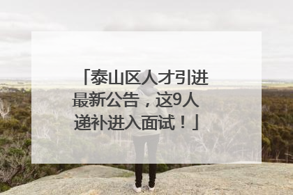 泰山区人才引进最新公告，这9人递补进入面试！