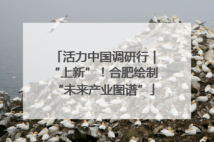 活力中国调研行｜“上新”！合肥绘制“未来产业图谱”