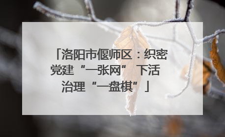 洛阳市偃师区：织密党建“一张网” 下活治理“一盘棋”