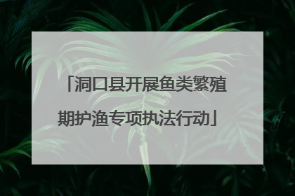 洞口县开展鱼类繁殖期护渔专项执法行动