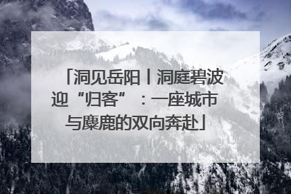 洞见岳阳丨洞庭碧波迎“归客”：一座城市与麋鹿的双向奔赴