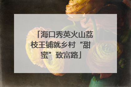 海口秀英火山荔枝王铺就乡村“甜蜜”致富路