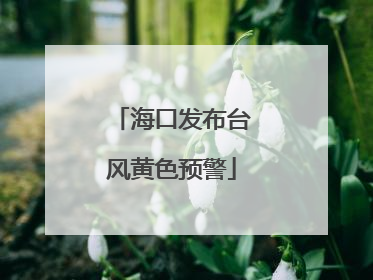 海口发布台风黄色预警