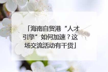 海南自贸港“人才引擎”如何加速？这场交流活动有干货