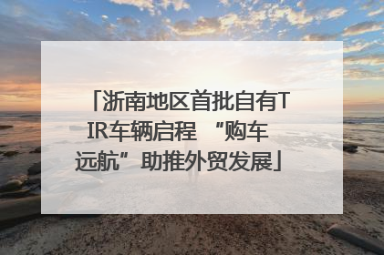 浙南地区首批自有TIR车辆启程 “购车远航”助推外贸发展