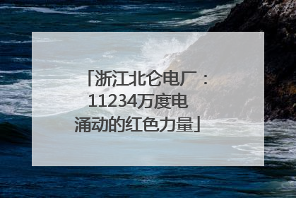 浙江北仑电厂：11234万度电涌动的红色力量