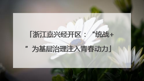 浙江嘉兴经开区：“统战+”为基层治理注入青春动力