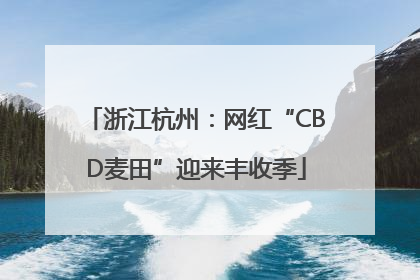 浙江杭州：网红“CBD麦田”迎来丰收季