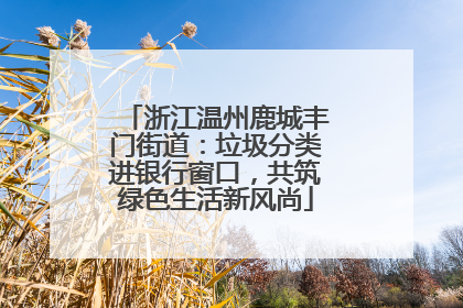浙江温州鹿城丰门街道：垃圾分类进银行窗口，共筑绿色生活新风尚