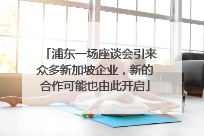 浦东一场座谈会引来众多新加坡企业，新的合作可能也由此开启