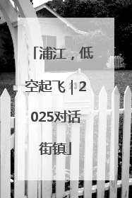 浦江，低空起飞｜2025对话街镇