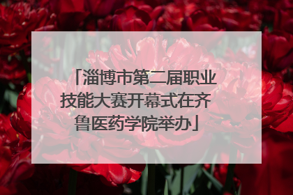 淄博市第二届职业技能大赛开幕式在齐鲁医药学院举办