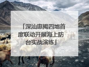 深汕惠揭四地首度联动开展海上防台实战演练