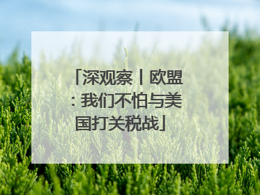 深观察丨欧盟：我们不怕与美国打关税战
