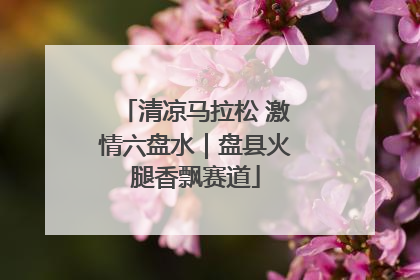 清凉马拉松 激情六盘水｜盘县火腿香飘赛道