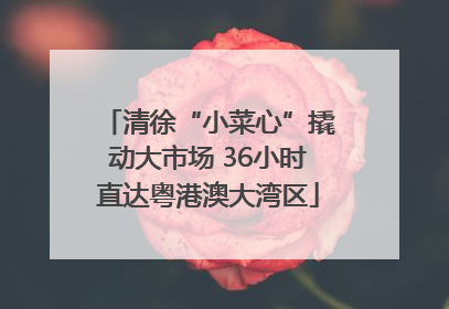 清徐“小菜心”撬动大市场 36小时直达粤港澳大湾区