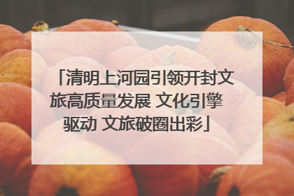 清明上河园引领开封文旅高质量发展 文化引擎驱动 文旅破圈出彩