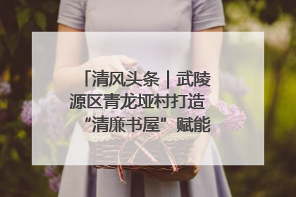 清风头条｜武陵源区青龙垭村打造“清廉书屋”赋能乡村振兴新风尚