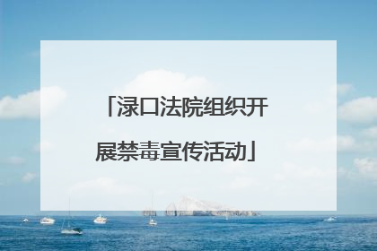 渌口法院组织开展禁毒宣传活动