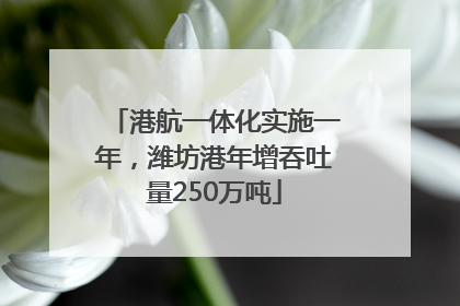 港航一体化实施一年，潍坊港年增吞吐量250万吨