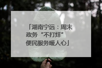 湖南宁远：周末政务“不打烊” 便民服务暖人心