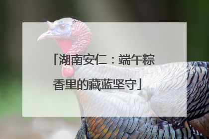 湖南安仁：端午粽香里的藏蓝坚守