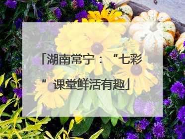 湖南常宁：“七彩”课堂鲜活有趣