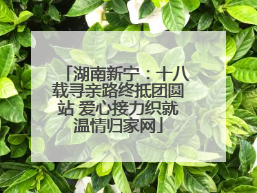 湖南新宁：十八载寻亲路终抵团圆站 爱心接力织就温情归家网