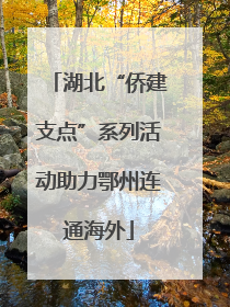 湖北“侨建支点”系列活动助力鄂州连通海外