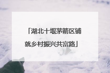 湖北十堰茅箭区铺就乡村振兴共富路