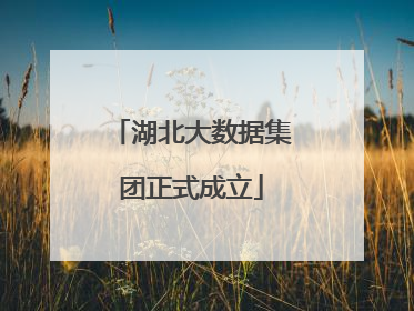 湖北大数据集团正式成立